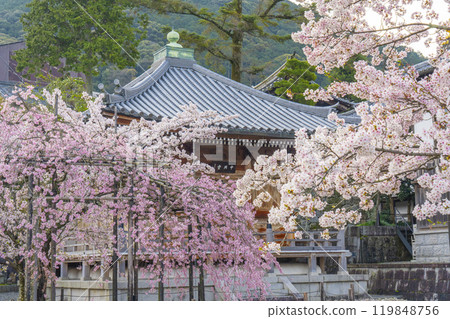 盛開的櫻花和清水寺、中幸堂（Ryokewajo Goryoya） 119848756