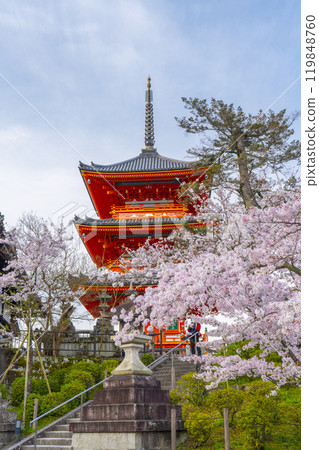 Cherry blossoms in full bloom and the three-story pagoda of Kiyomizu-dera Temple 119848760