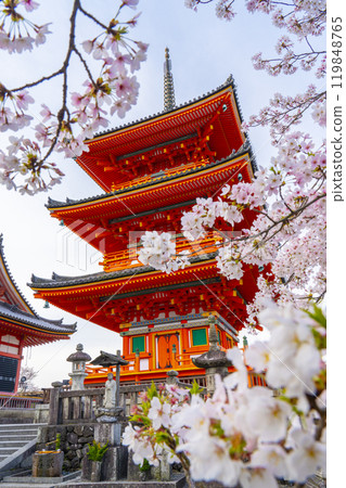 Cherry blossoms in full bloom and the three-story pagoda of Kiyomizu-dera Temple 119848765