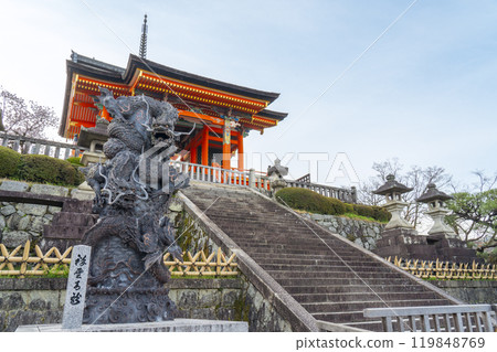 Cherry blossoms in full bloom and Kiyomizu-dera Temple - Shoun Seiryu 119848769