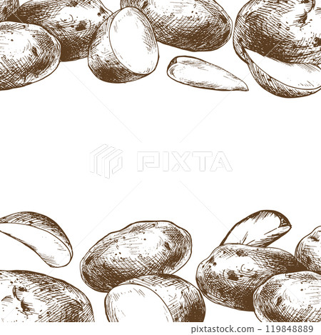Potatoes whole, half, cut, peeled and wedges square frame template. Graphic illustration hand drawn in brown ink. EPS vector on the theme of harvest cooking, food, packaging, vegetable shop design 119848889