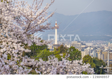 春天從清水寺參道眺望京都塔 119848937