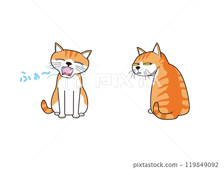 Yawning cat and cat looking out of the corner of your eye (brown tabby) Yawning cat and cat looking out of the corner of your eye (brown tabby) 119849092