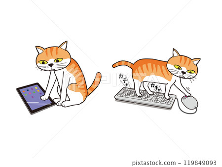 貓（棕色虎斑貓）對平板電腦和老鼠表現出興趣 119849093