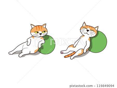 一隻貓(棕色虎斑貓)靠在球上放鬆和睡覺 一隻貓(棕色虎斑貓)靠在球上放鬆和睡覺 119849094