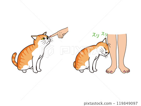 一隻貓(棕色虎斑貓)嗅著主人的手指並被寵愛 一隻貓(棕色虎斑貓)嗅著主人的手指並被寵愛 119849097