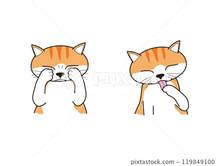 貓咪洗臉（棕色虎斑） 119849100