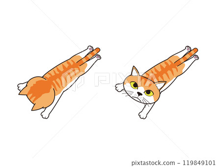 Cat lying face down and looking at me (brown tabby) Cat lying face down and looking at me (brown tabby) 119849101