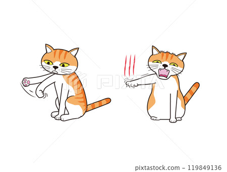 A cat (brown tabby) suddenly gets angry while playing and claws out A cat (brown tabby) suddenly gets angry while playing and claws out 119849136