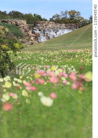 從贊岐萬王國立公園龍頭之裡的青龍溪谷看到的升龍瀑布和宇宙（校園） 119849540