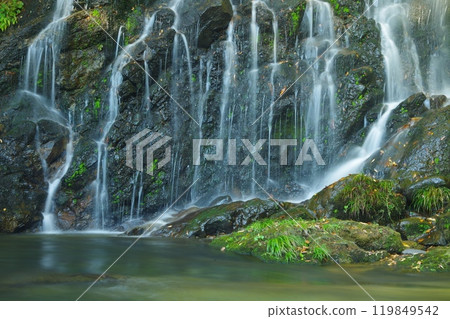 Falling waterfall 119849542