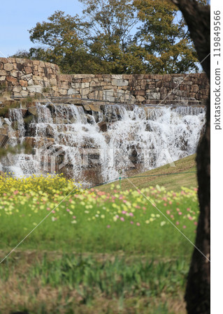 從贊歧萬王國立公園龍頭之裡的青龍谷看到的昇龍瀑布、波斯菊(校園)和檸檬明亮 從贊歧萬王國立公園龍頭之裡的青龍谷看到的昇龍瀑布、波斯菊(校園)和檸檬明亮 119849566