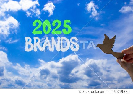 Planning 2025 brands new year symbol. Concept words 2025 Brands on beautiful blue sky. Beautiful blue sky clouds background. Hand with wooden bird. Business 2025 brands new year concept. Copy space. 119849883