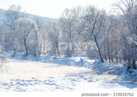 Thickets on the riverbank on a cold winter morning Thickets on the riverbank on a cold winter morning 119850762