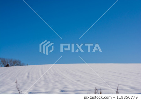 The snowy field and the blue sky The snowy field and the blue sky 119850779