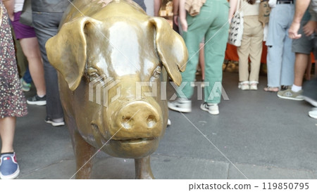 西雅圖派克市場的金豬 119850795