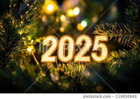 2025 Festive Lights Shine Bright! 119850848