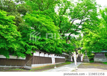 鴨山公園青海神社(新潟縣) 鴨山公園青海神社(新潟縣) 119851358