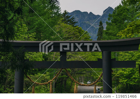 View of Mt. Togakushi from Nakasha Shrine, Togakushi, Nagano 119851466