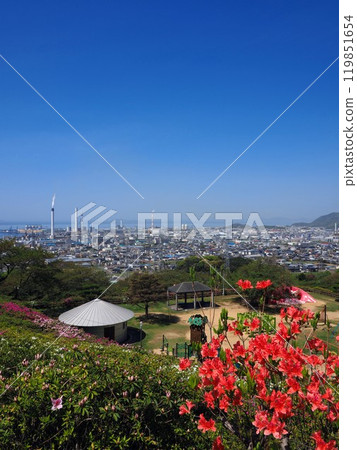 Azaleas blooming in Mishima Park, Shikoku Chuo City, Ehime Prefecture 6 119851654