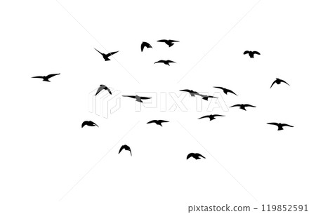 Flying birds silhouette flock. hand drawing. Not AI. Vector illustration Flying birds silhouette flock. hand drawing. Not AI. Vector illustration 119852591