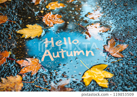 Words "Hello Autumn" in the puddle. Autumn leaves in a puddle, fall season, symbol of the rainy season of the year. Autumn time welcoming 119853509