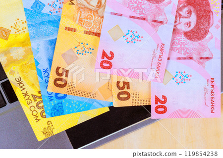 In Kyrgyzstan, money is provided at form various denominations of banknotes, which are then entered into an online payment system In Kyrgyzstan, money is provided at form various denominations of banknotes, which are then entered into an online payment system 119854238