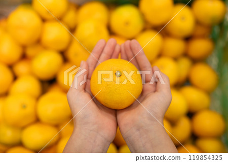 手拿著橘子 手拿著橘子 119854325