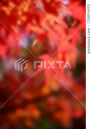 Blurred autumn background with warm autumn sun light. Blurred autumn background with warm autumn sun light. 119854953