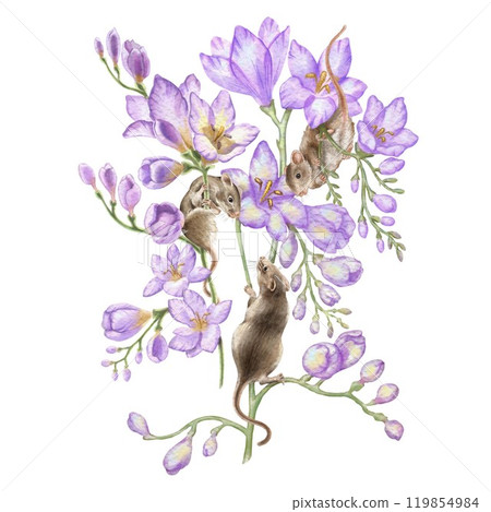 Three mice in freesia flowers. Watercolor illustration in vintage style. Printing postcards, invitations, notebooks. Printing on a cup, T-shirt, craft bag, kitchen towel, etc. Plot in Provence style. Three mice in freesia flowers. Watercolor illustration in vintage style. Printing postcards, invitations, notebooks. Printing on a cup, T-shirt, craft bag, kitchen towel, etc. Plot in Provence style. 119854984