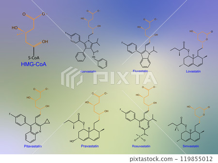 Chemical of some group of drug call Statins. 119855012