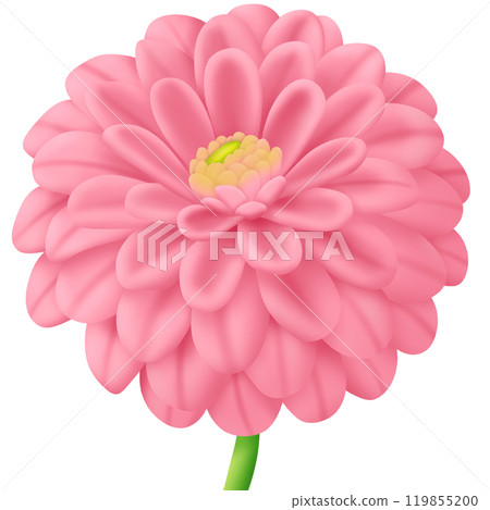 a flower of a pink dahlia 119855200
