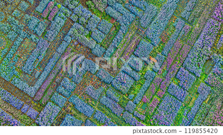 Aerial Garden City Endsheet and Endpaper Texture for Book Cover Background of Nature and Forest Map 119855420