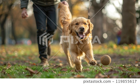 A person playing with their happy dog in a park, Friendship between owner and pet 119855617