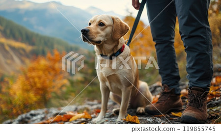 A person is walking a dog on a mountain trail 119855745