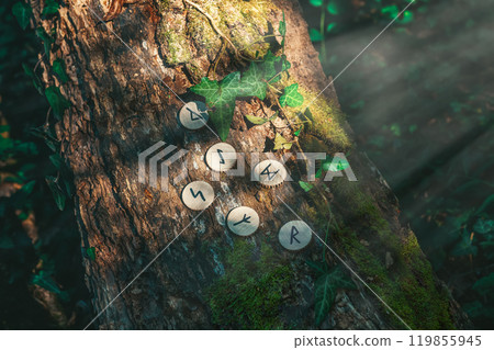 On the trunk of a tree, covered with ivy, are wooden Scandinavian runes. Mystic light. The concept of divination and esotericism 119855945