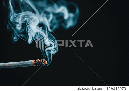 Soft White Smoke Swirling Over Dark Background 119856073