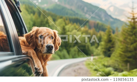Happy dog on a scenic road trip adventure, Enjoying the view from open car window surrounded by nature Happy dog on a scenic road trip adventure, Enjoying the view from open car window surrounded by nature 119856135