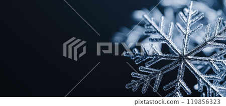 Abstract Geometric Snowflakes in Festive Design Abstract Geometric Snowflakes in Festive Design 119856323
