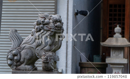 Guardian dog 119857048