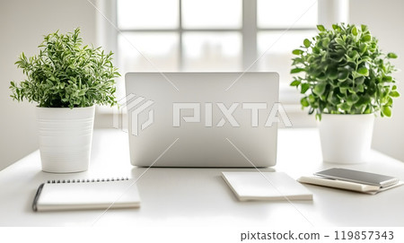 Modern minimalist home office desk setup featuring laptop and plants 119857343