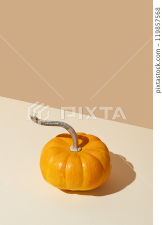 Decorative pumpkin on yellow background with hard shadow. Autumn holiday concept of Thanksgiving Decorative pumpkin on yellow background with hard shadow. Autumn holiday concept of Thanksgiving 119857568