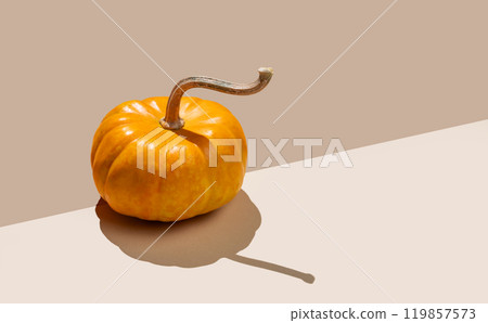 Decorative pumpkin on beige background with hard shadow. Autumn holiday concept of Thanksgiving Decorative pumpkin on beige background with hard shadow. Autumn holiday concept of Thanksgiving 119857573