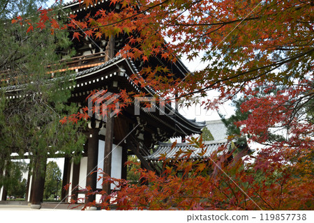 秋天的東福寺、楓葉和三門【國寶】 119857738