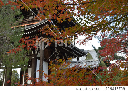 秋天的東福寺、楓葉和三門【國寶】 秋天的東福寺、楓葉和三門【國寶】 119857739