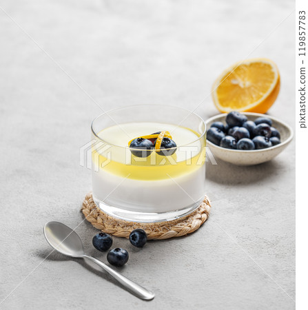 lemon panna cotta with blueberries in glass on a light background with berries lemon panna cotta with blueberries in glass on a light background with berries 119857783