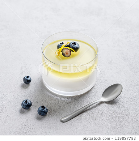 lemon panna cotta with blueberries in glass on a light background with berries and spoon. lemon panna cotta with blueberries in glass on a light background with berries and spoon. 119857788