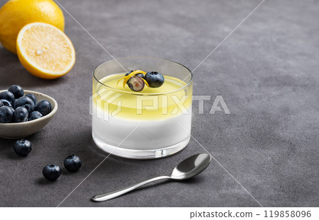 Creamy lemon panna cotta with blueberries in a glass with fresh berries and citrus fruits Creamy lemon panna cotta with blueberries in a glass with fresh berries and citrus fruits 119858096