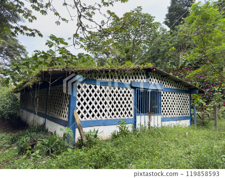 Quaint rural house surrounded by lush 119858593