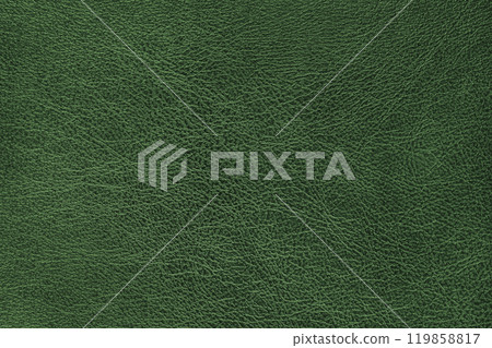 Structure of genuine leather, shiny green leatherette surface with slightly grainy texture 119858817